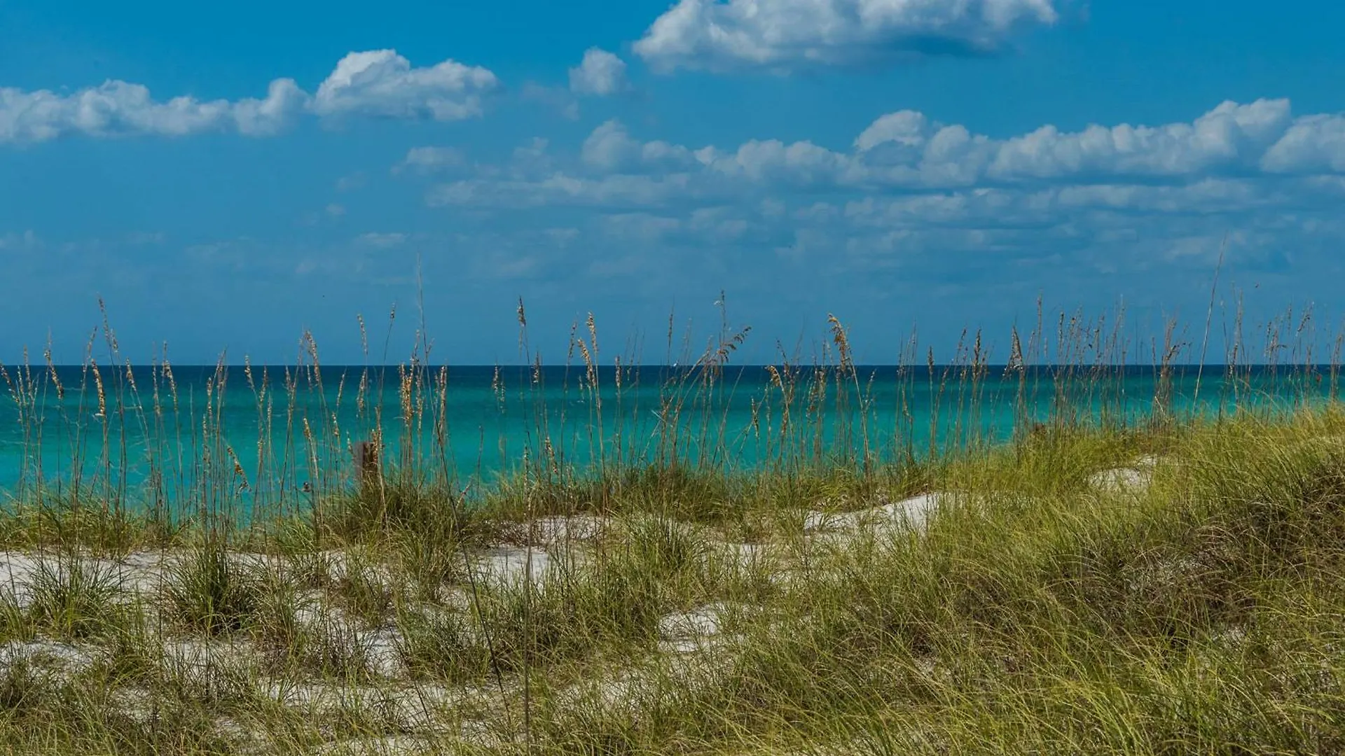 Aqua Resort 711 By Emerald Coast Retreats Panama City Beach